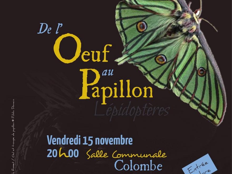 Affiche Conférence Papillon Patrick Rosset