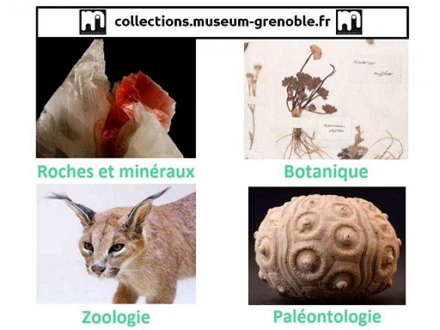 Page d'accueil du portail des collections du Muséum de Grenoble sur Nature isère