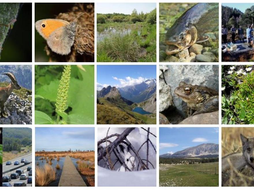 Visuels des études du pôle biodiversité du département de l'Isère sur Nature isère