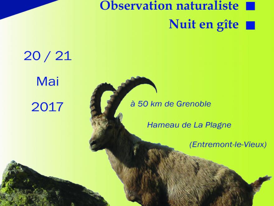 Week-end Bouquetins de Chartreuse les 20 et 21 mai 2017