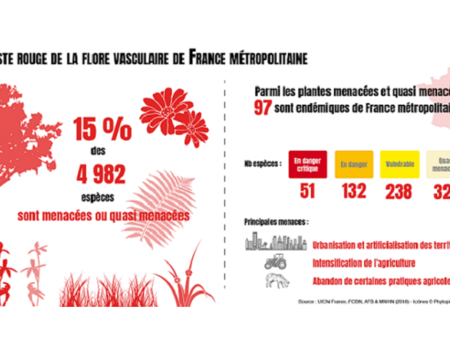Visuel pour représenter la liste des espèces de la flore vasculaire de France métropolitaine menacées sur Nature isère