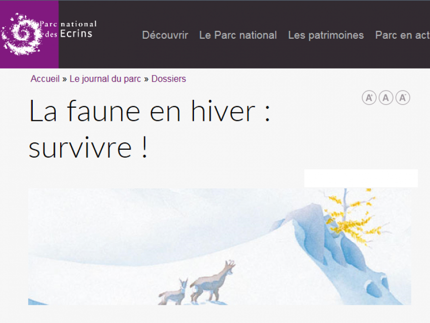 Page d'accueil du dossier La faune en hiver: survivre ! du parc national des ecrins