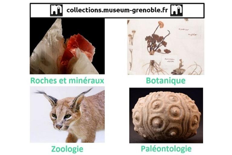 Page d'accueil du portail des collections du Muséum de Grenoble sur Nature isère