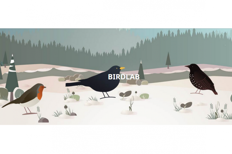Page d'accueil du blog de BirdLab, nature isère