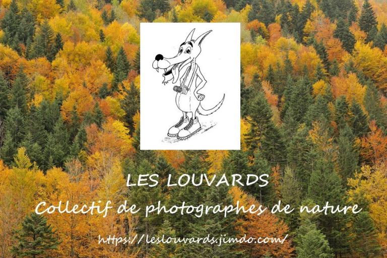 Festival photo nature, les Louvards