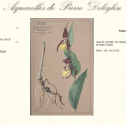 Aquarelles de Pierre Deléglise sur le portail documentaire du Muséum de Grenoble