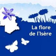 Visuel du site web Flore de l'Isère de Gentiana sur Nature isère