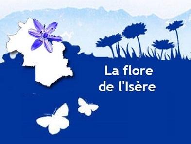 Visuel du site web Flore de l'Isère de Gentiana sur Nature isère