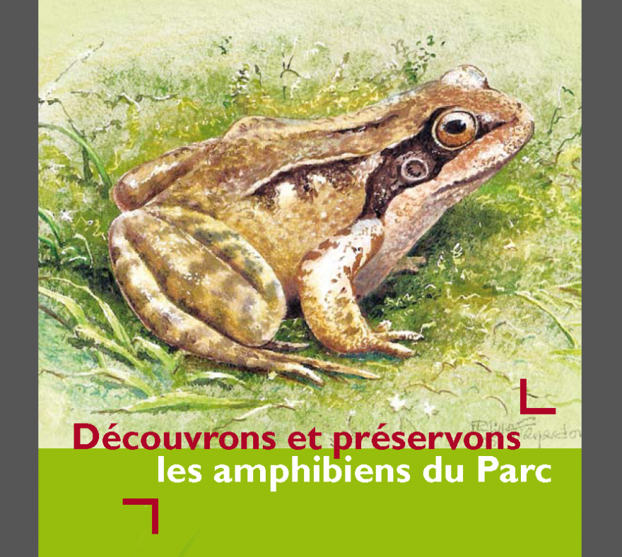 Page de couverture du guide sur les amphibiens du parc naturel régional Oise-Pays de France