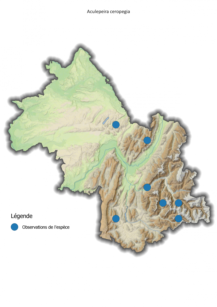 Carte de répartition de l'Aculepeira ceropegia en Isère - Nature Isère