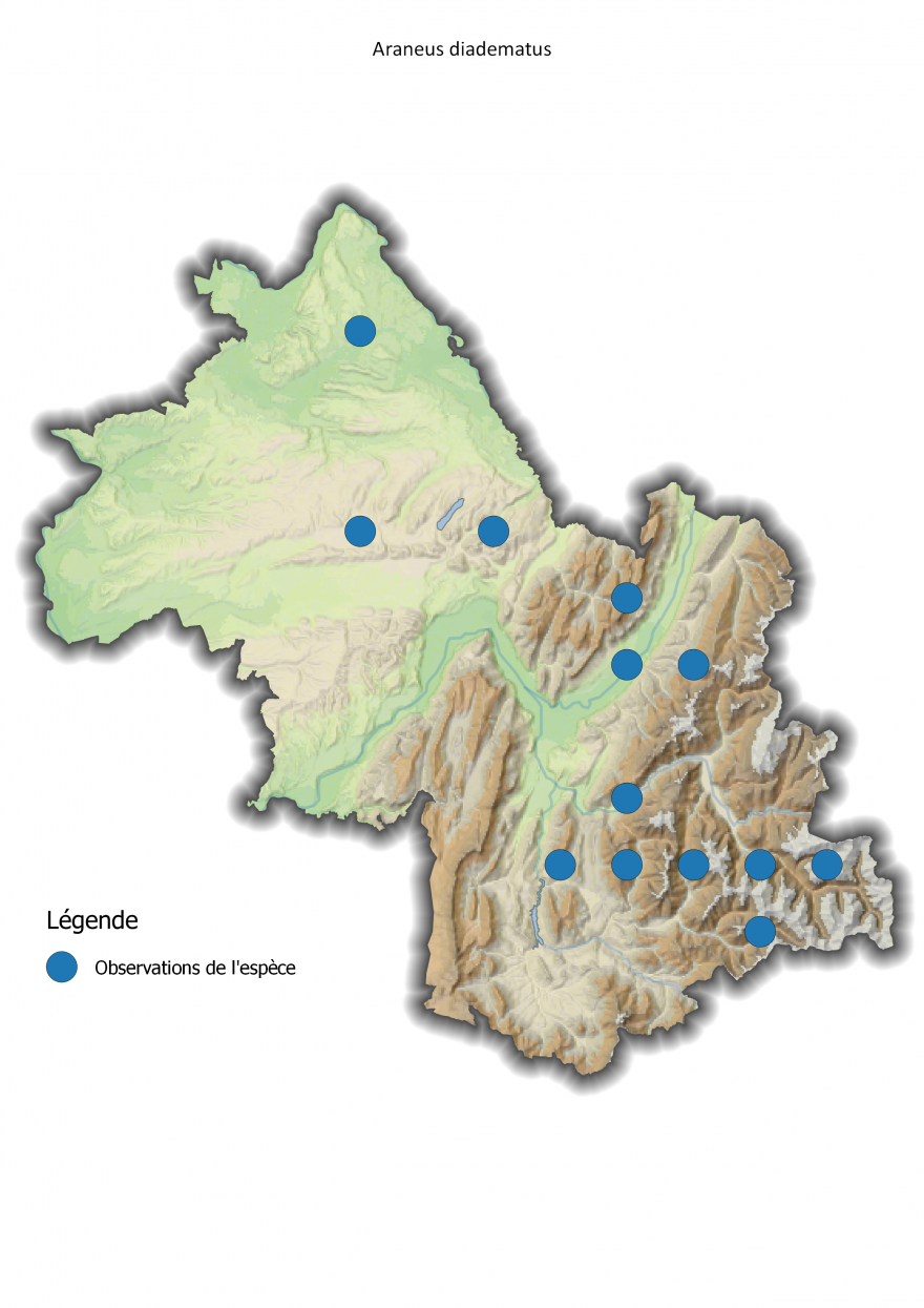 Carte de répartition de l'Épeire diadème en Isère - Nature Isère