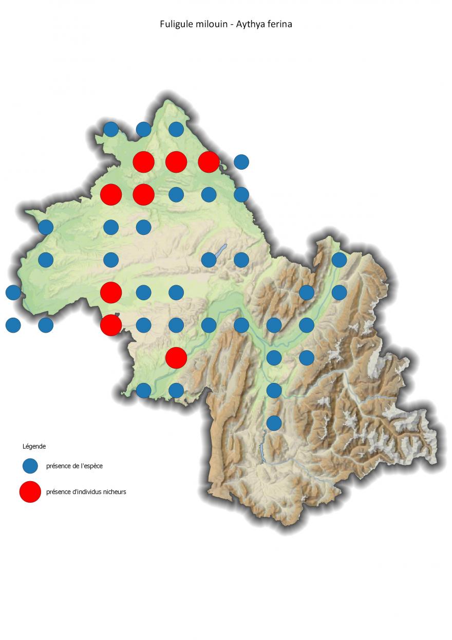 Répartition du fuligule milouin en Isère (2001-2016).