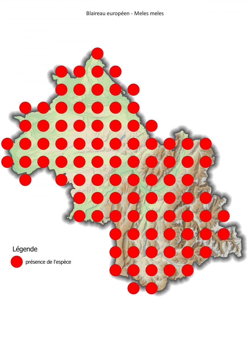 Carte de répartition du blaireau européen en Isère (2001-2016) - Nature Isère.