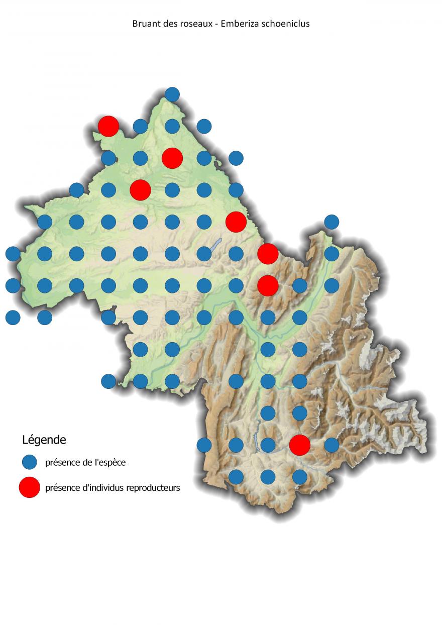 Carte de répartition du bruant des roseaux en Isère (2001-2016).