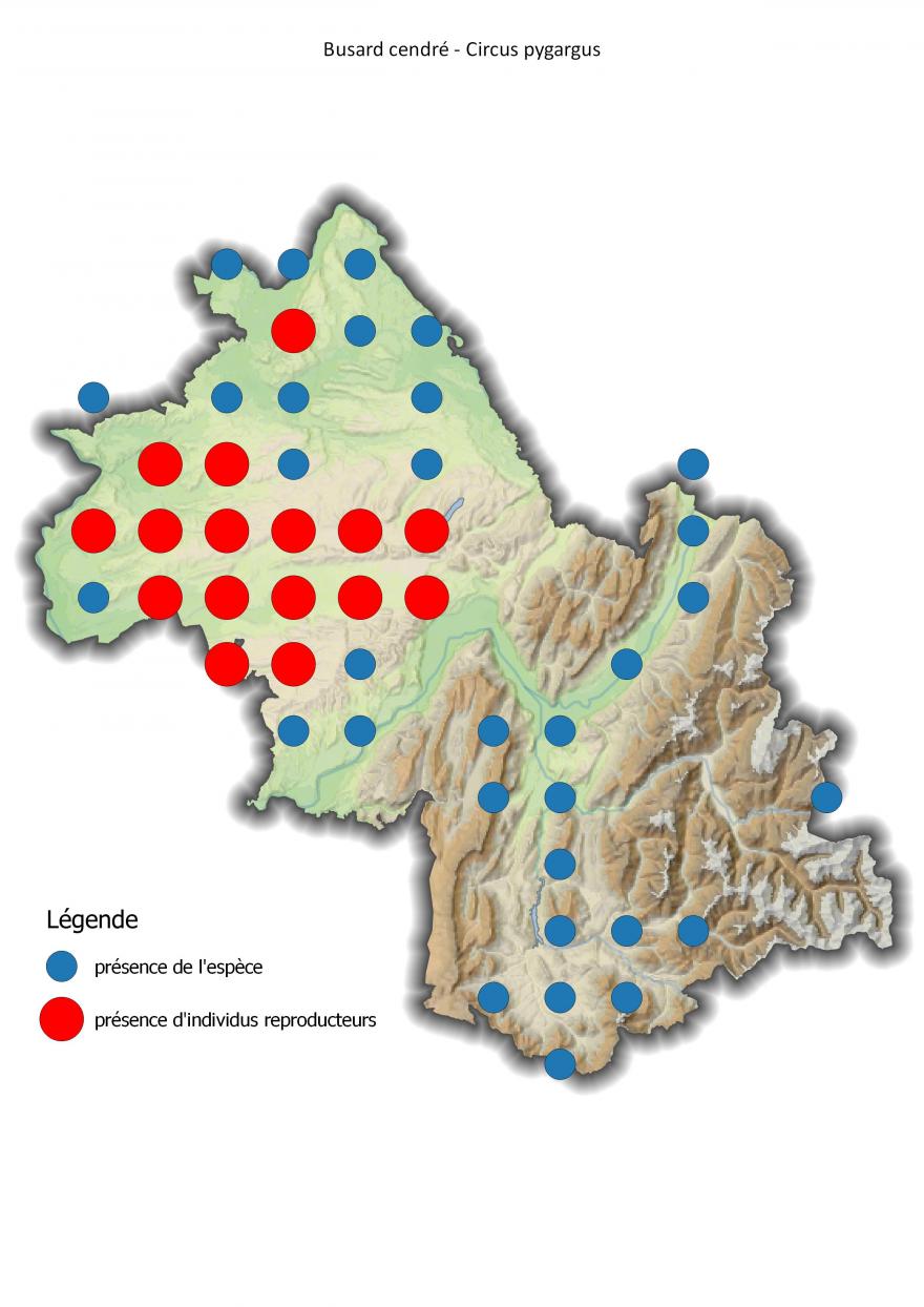 Carte de répartition du busard cendré en Isère (2001-2016).
