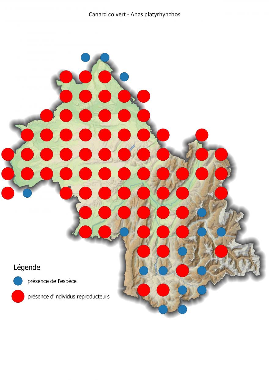 Carte de répartition du canard colvert en Isère (2001-2016).