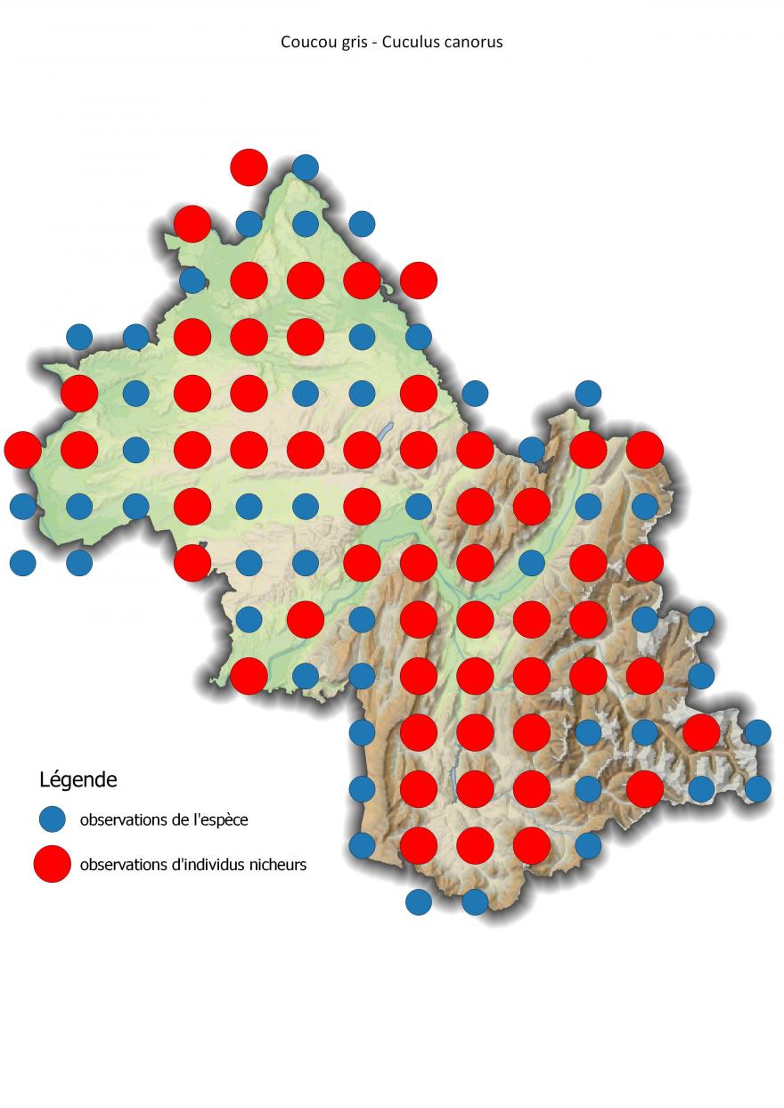Carte de répartition du coucou gris en Isère (2001-2016).