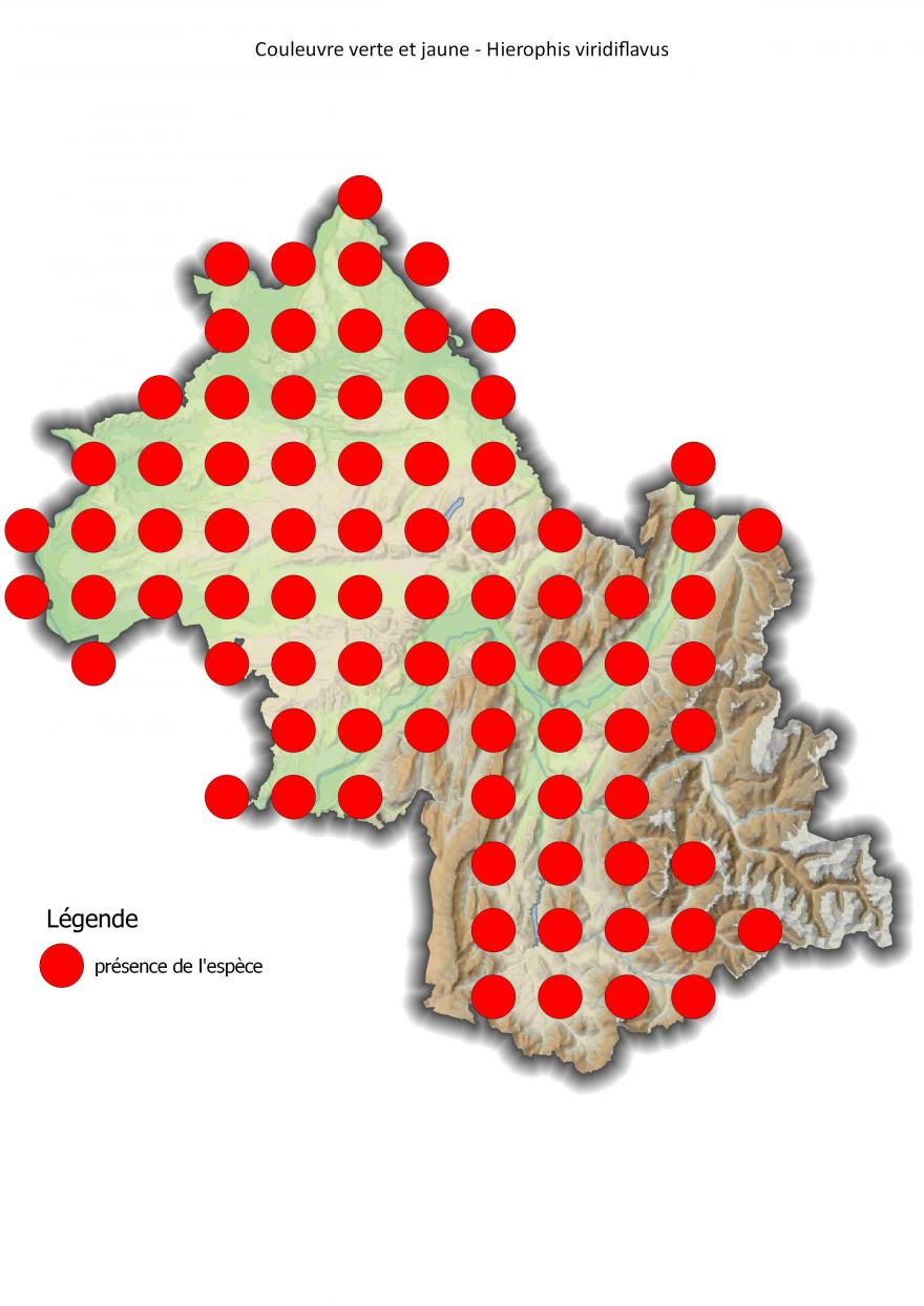 Carte de répartition de la couleuvre verte et jaune en Isère (2001-2016).