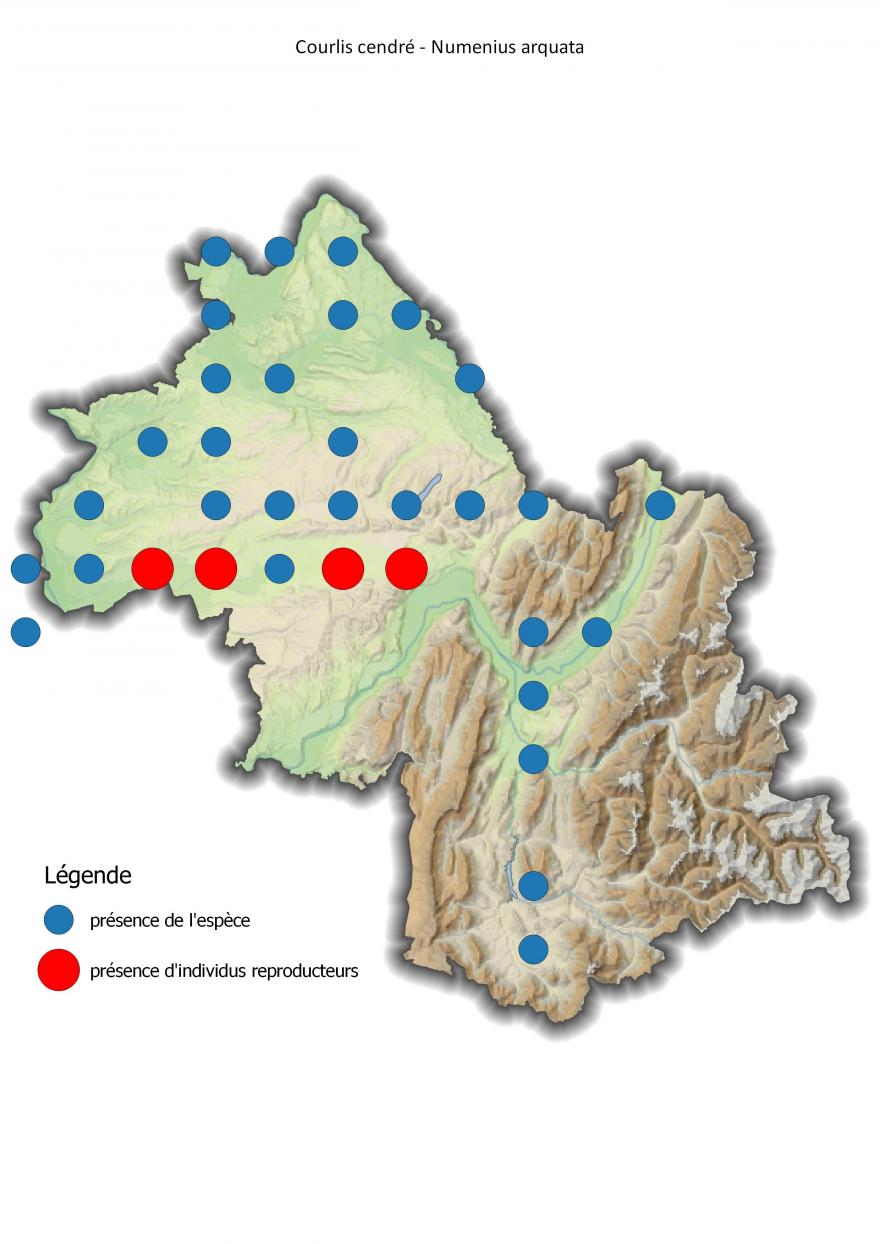 Carte de répartition du courlis cendré en Isère (2001-2016).