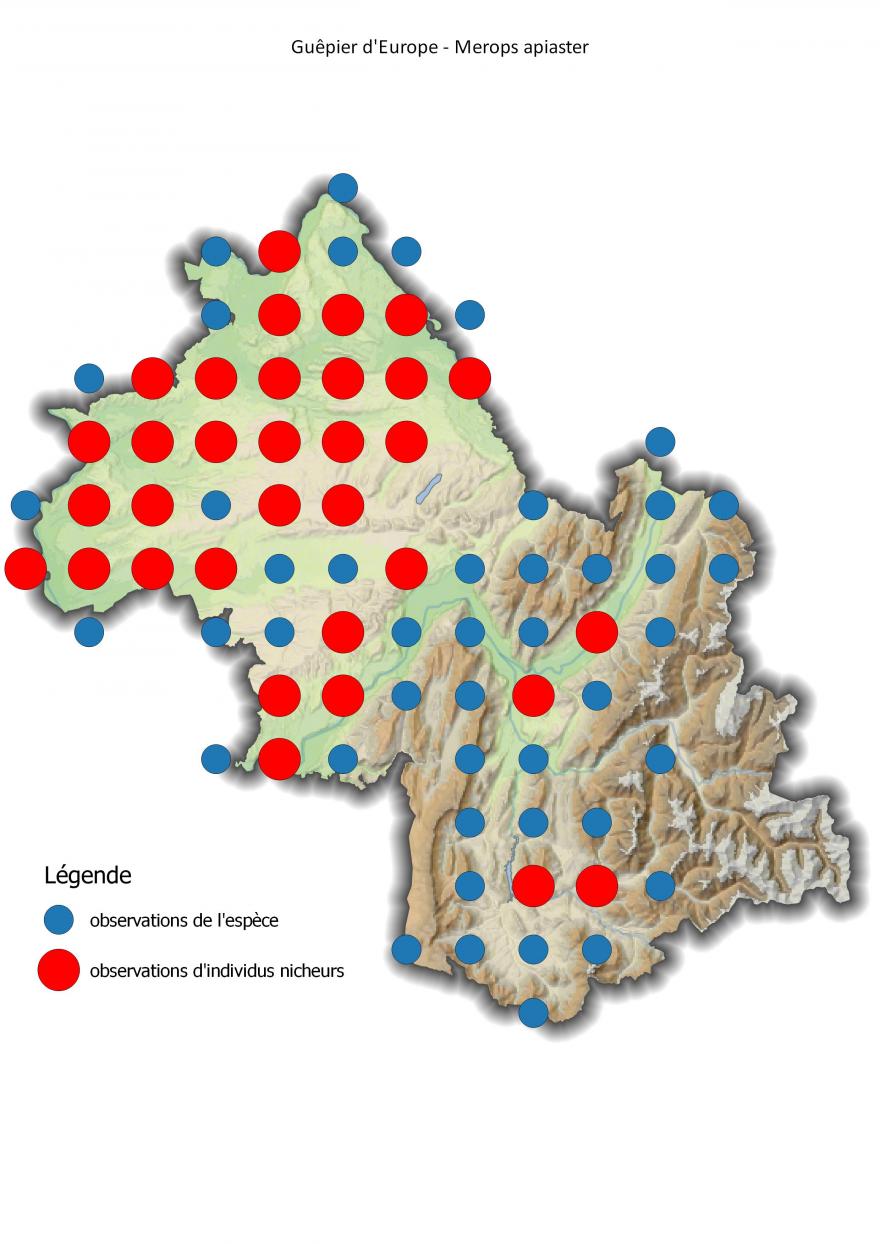 Carte de répartition du guêpier d'Europe en Isère (2001-2016).