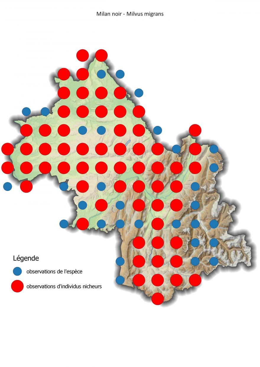 Carte de répartition du milan noir en Isère (2001-2016).