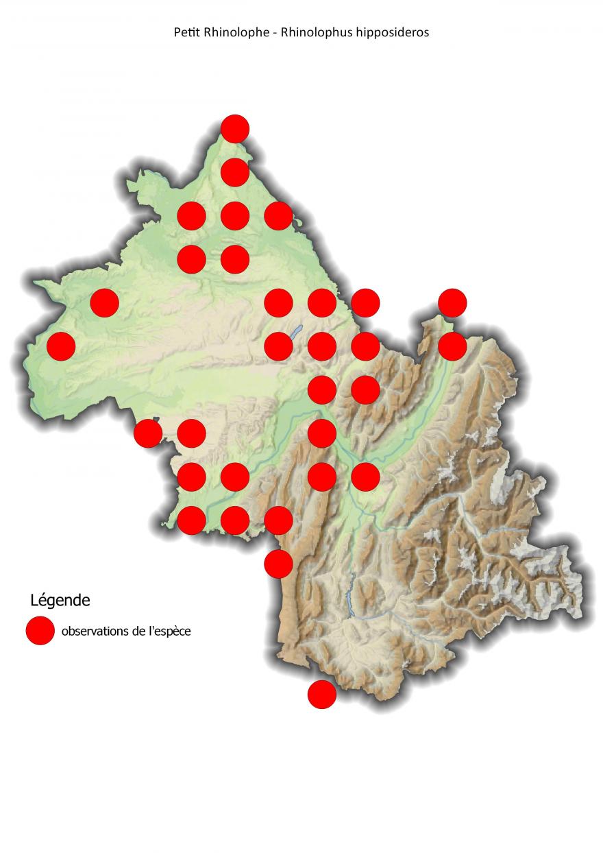 Carte de répartition du petit rhinolophe en Isère (2001-2016).