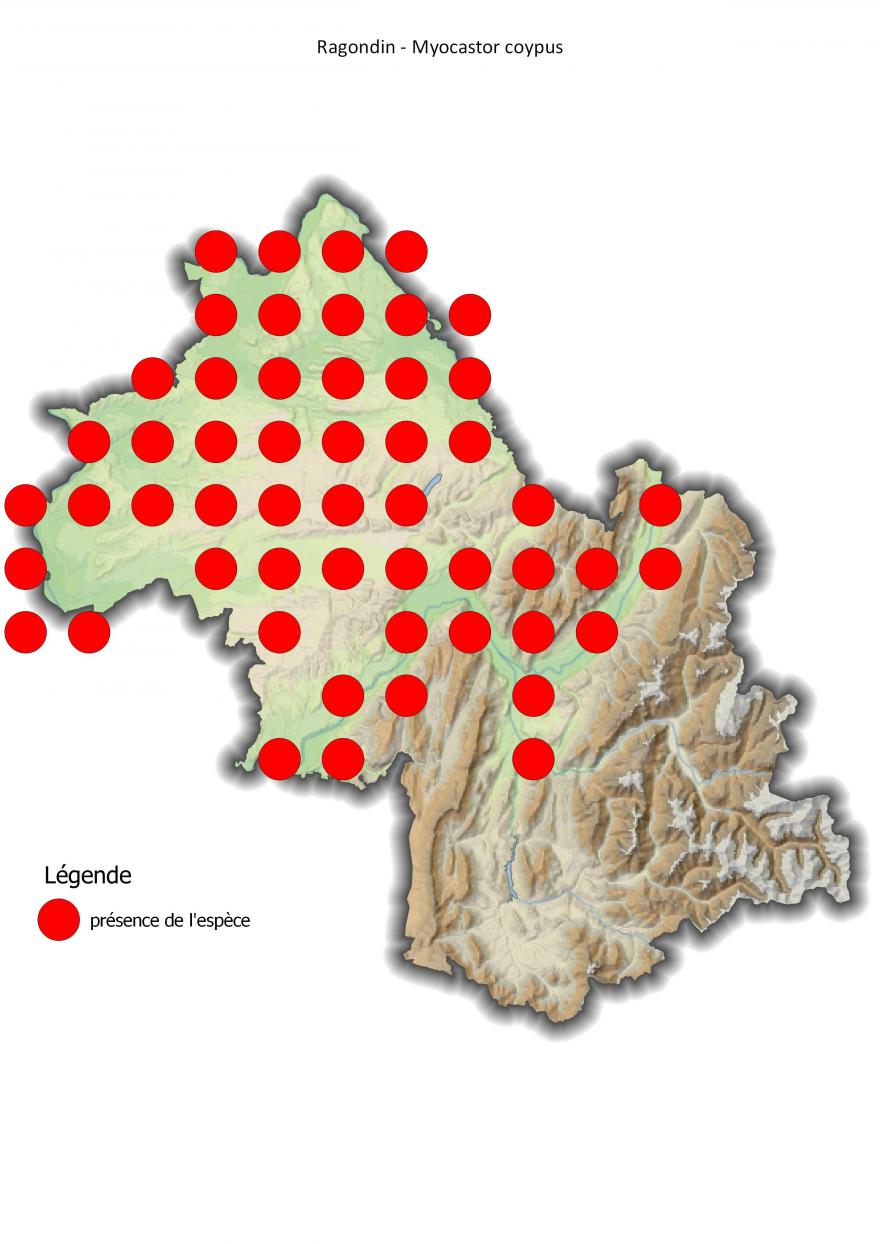 Carte de répartition du ragondin en Isère (2001-2016).