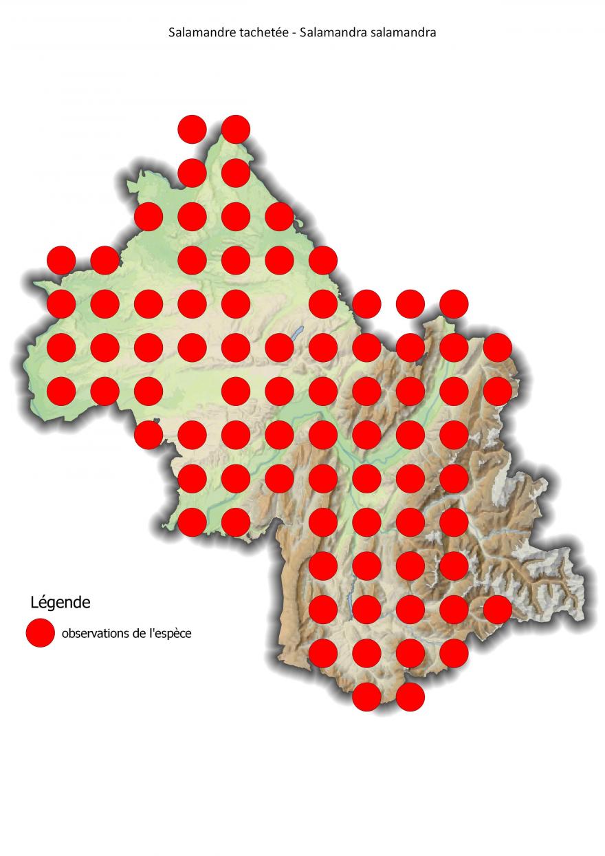 Carte de répartition de la salamandre tachetée en Isère (2001-2016).