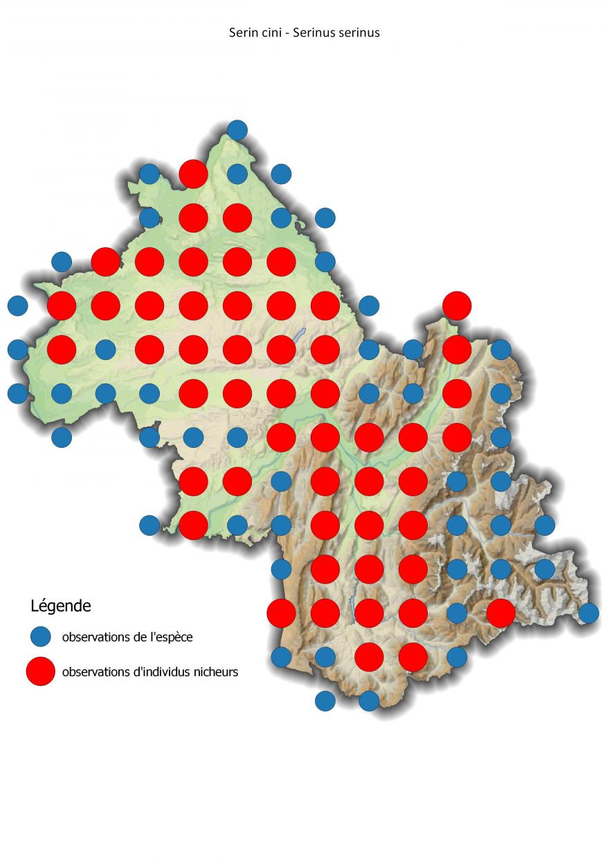 Carte de répartition du serin cini en Isère (2001-2016).