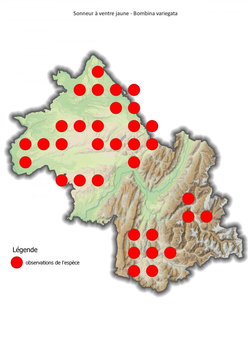 Carte de répartition du sonneur à ventre jaune en Isère (2001-2016).