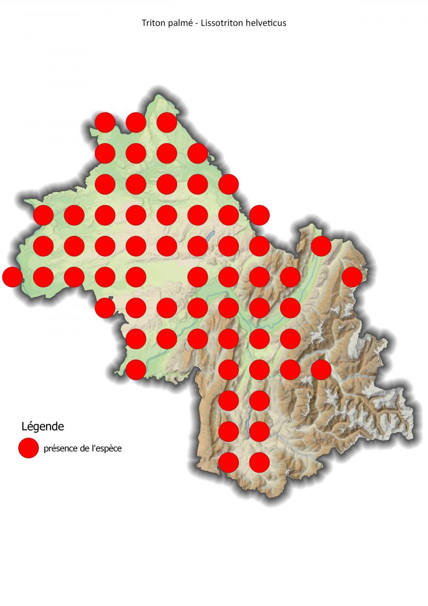 Carte de répartition du triton palmé en Isère (2001-2016).