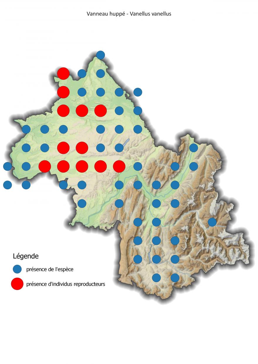 Carte de répartition du vanneau huppé en Isère (2001-2016).
