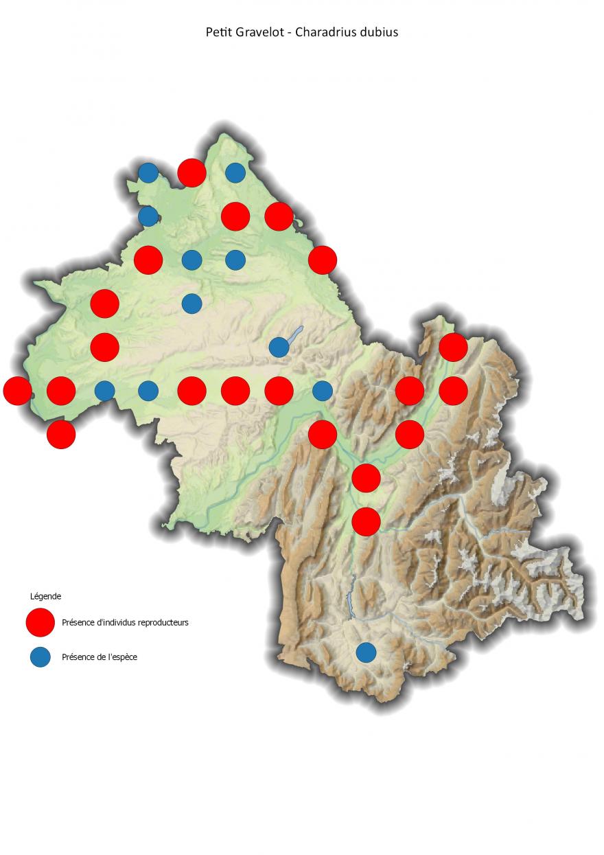 Répartition du petit gravelot en Isère (2001-2016).