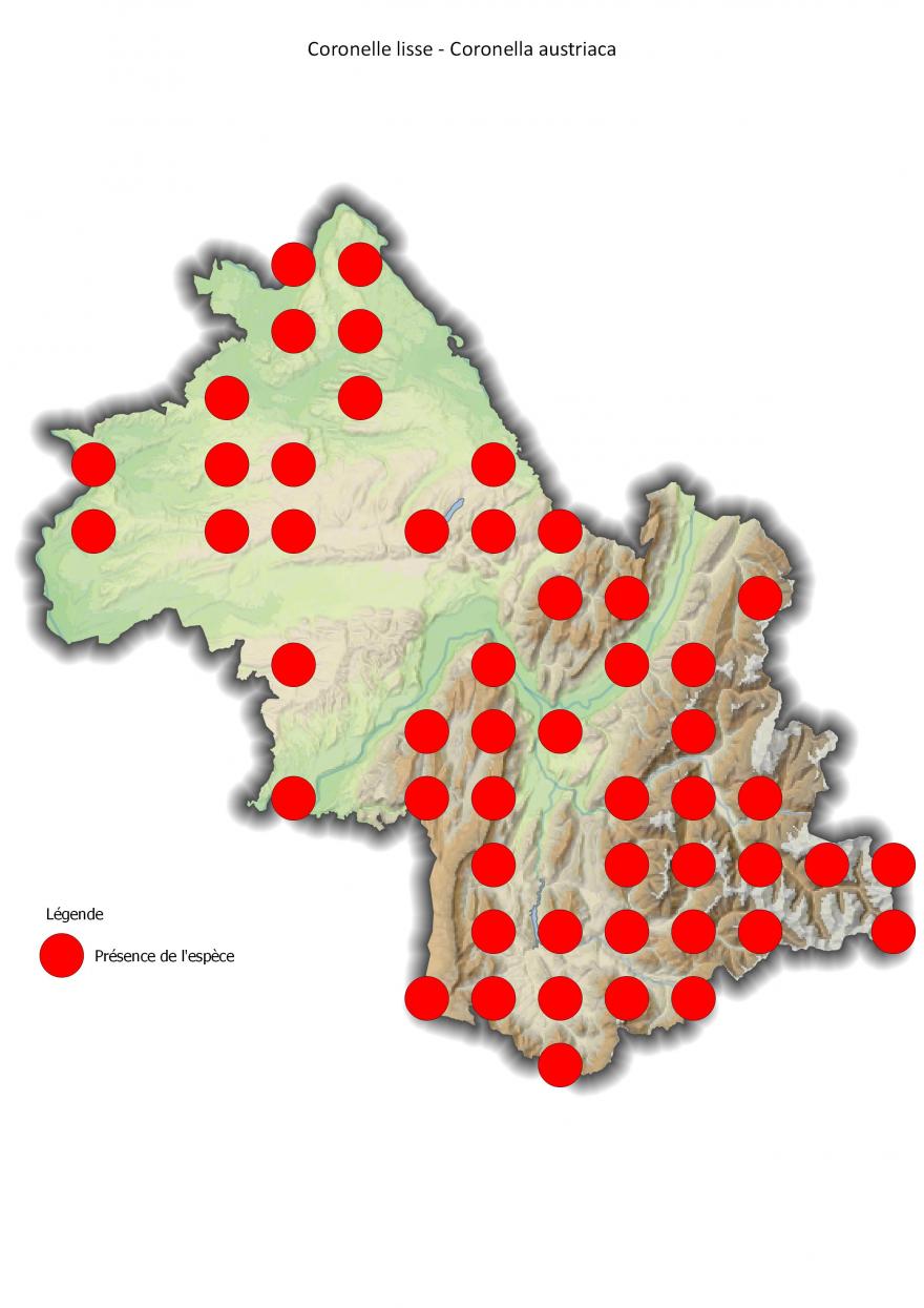 Répartition de la coronelle lisse en Isère (2001-2016).