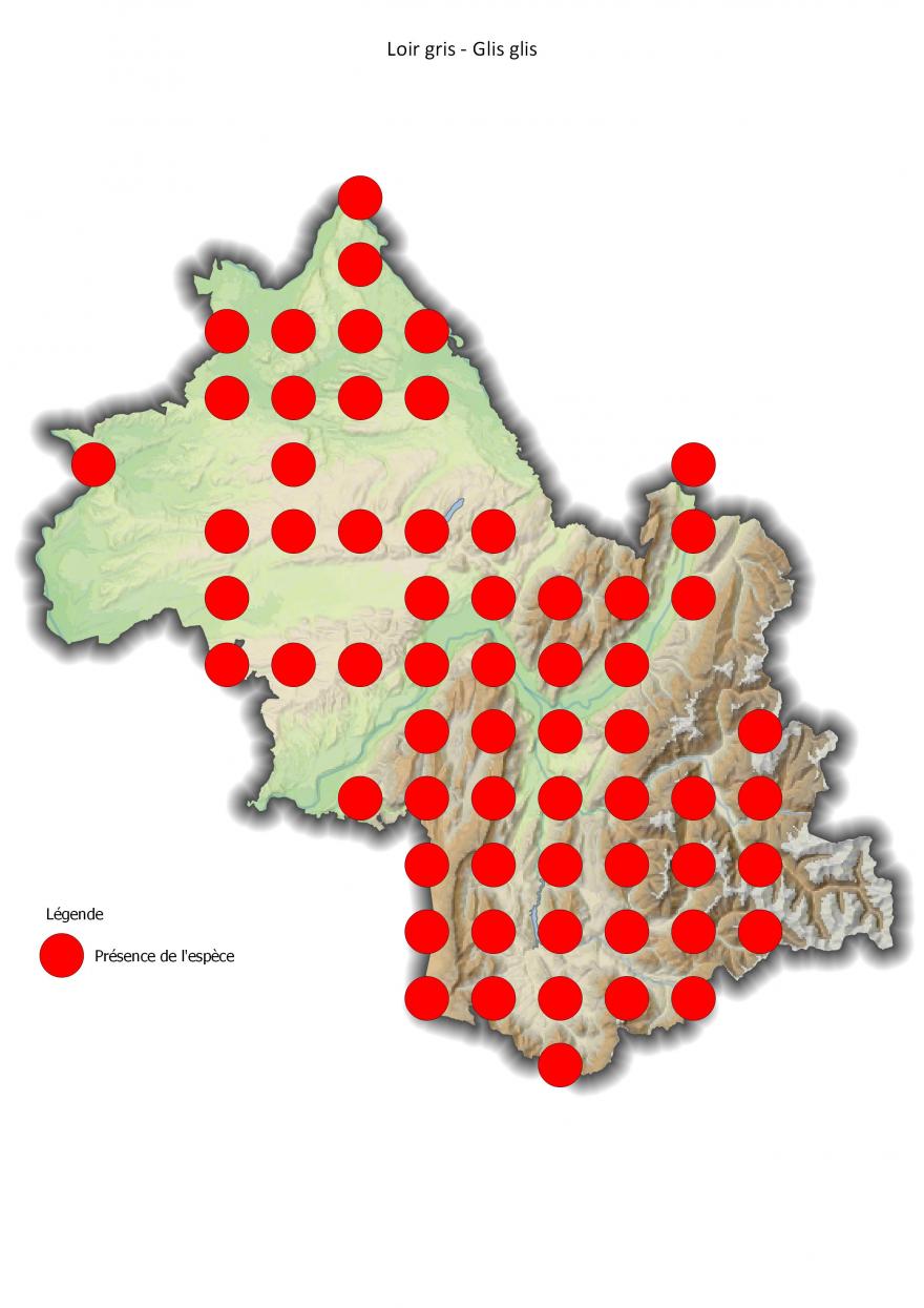 Répartition du loir gris en Isère (2001-2016).