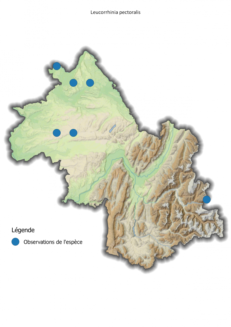 Carte de répartition de la Leucorrhine à gros thorax en Isère, Nature Isère