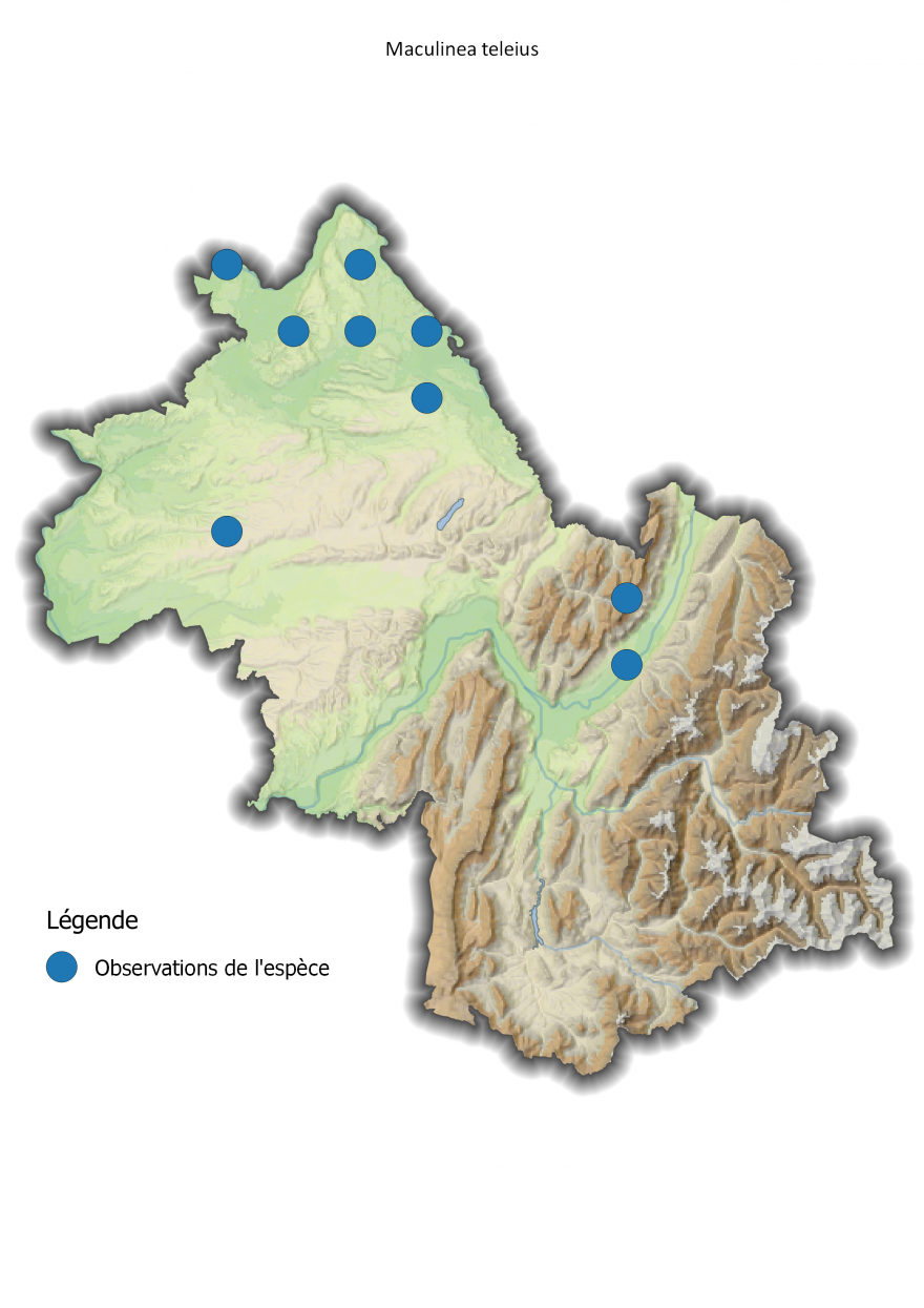 Carte de répartition de l'Azuré de la Sanguisorbe en Isère, Nature Isère
