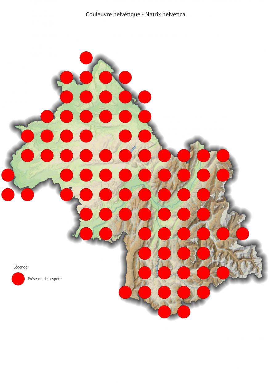 Répartition de la couleuvre helvétique en Isère (2001-2016).