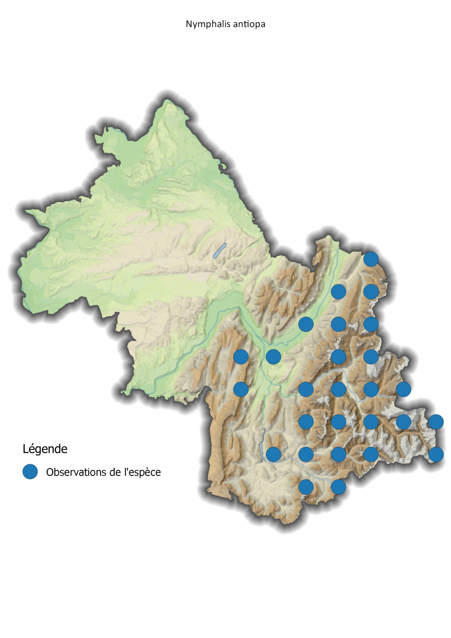 Carte de répartition du Morio en Isère - Nature Isère
