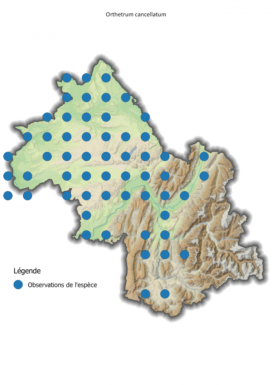Carte de répartition de l'Orthétrum réticulé en Isère - Nature Isère