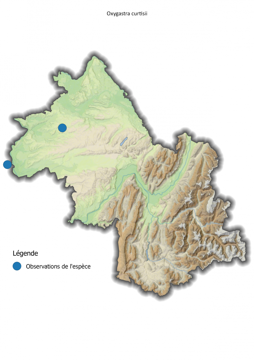 Carte de répartition de la Cordulie à corps fin en Isère - Nature Isère