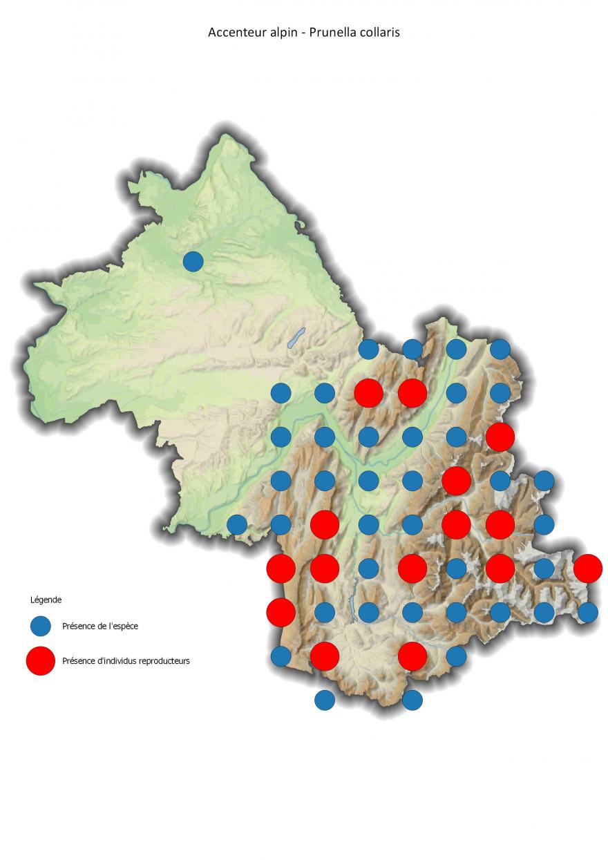 Répartition de l'accenteur alpin en Isère (2001-2016).