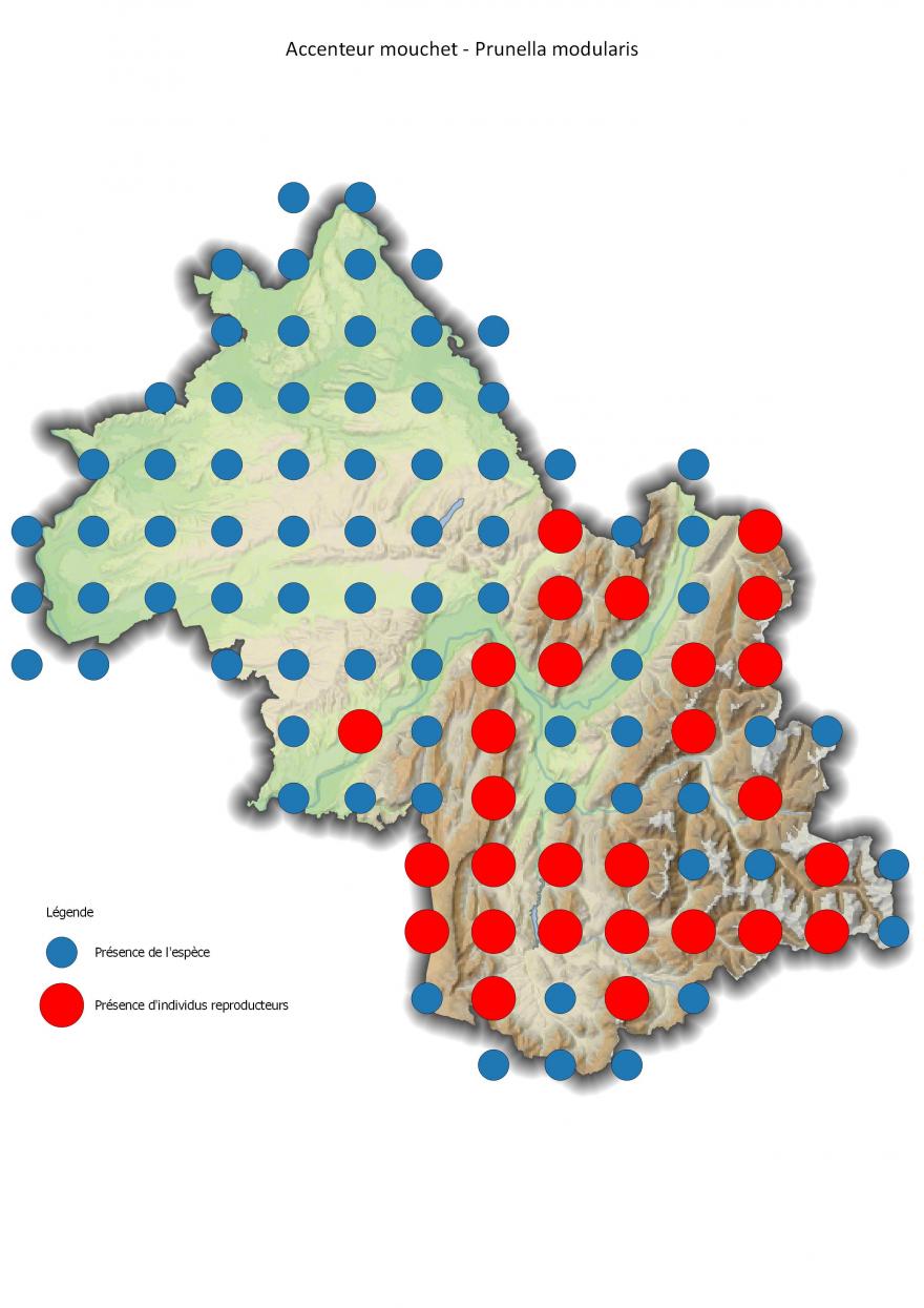 Répartition de l'accenteur mouchet en Isère (2001-2016).
