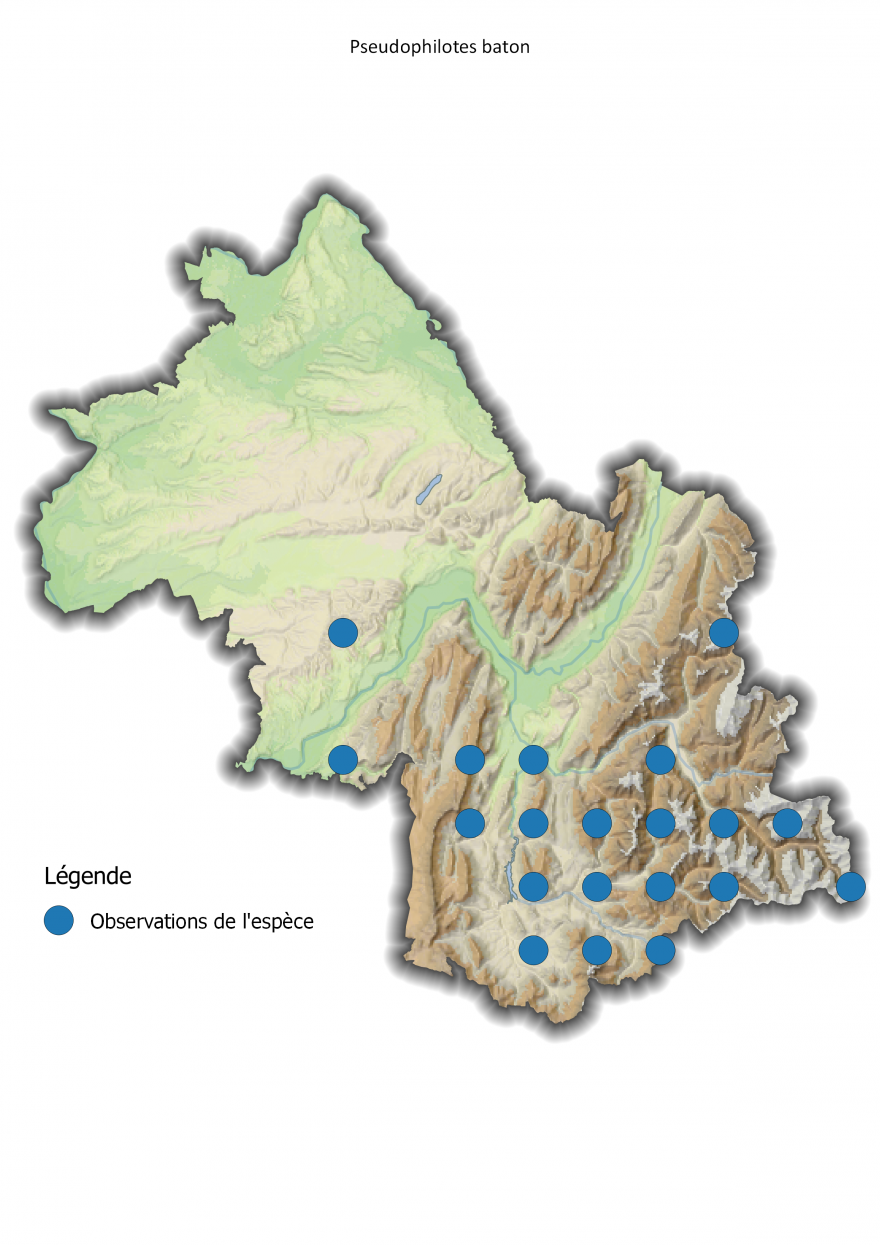 Carte de répartition de l'Azuré du thym en Isère - Nature Isère