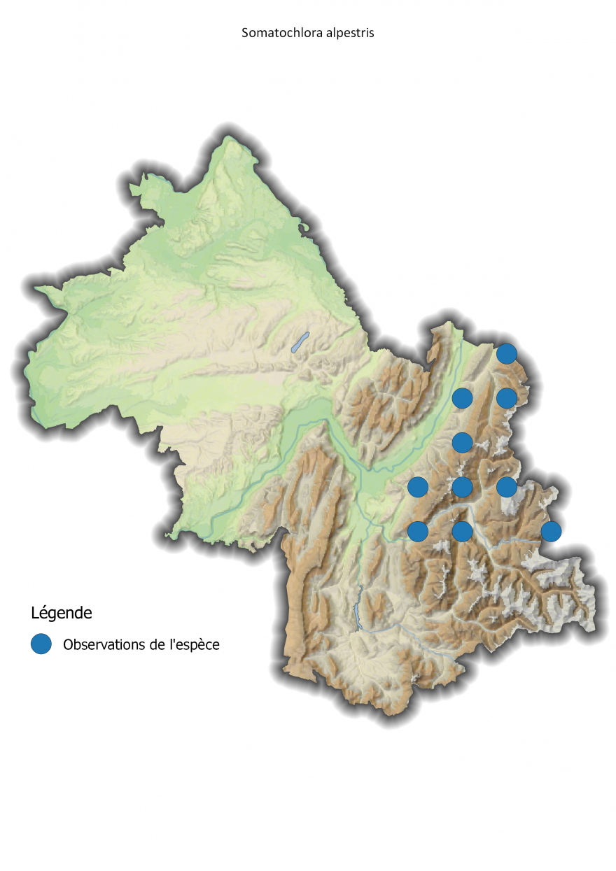 Carte de répartition de la Cordulie alpestre en Isère - Nature Isère