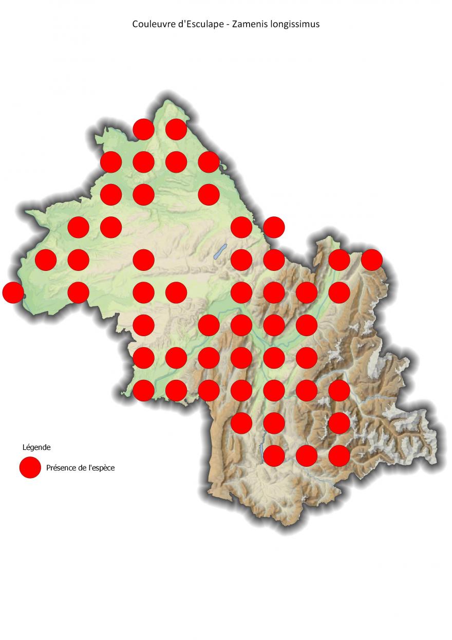 Carte de répartition de la couleuvre d'Esculape en Isère (2001-2016).