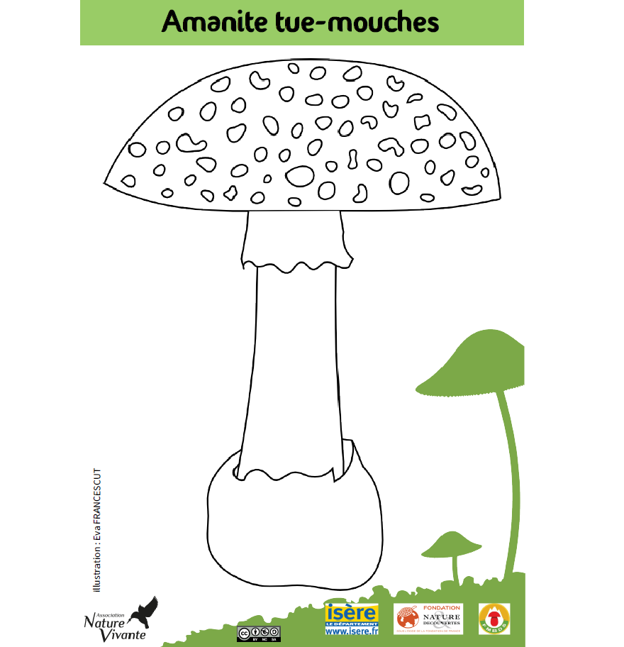 Boîte à outils pédagogiques sur les champignons, Nature vivante