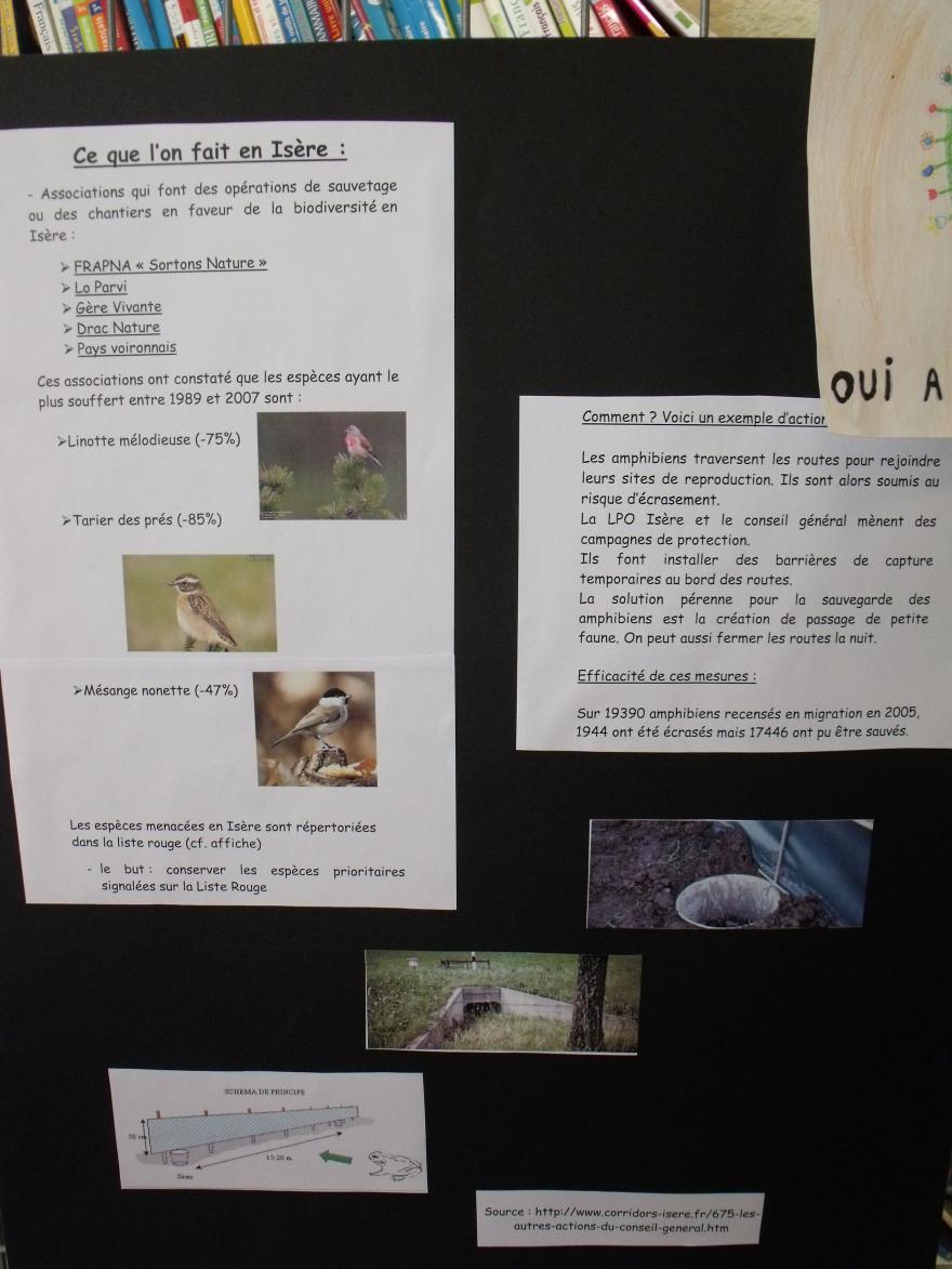 Ce que l'on fait en Isère - Projet Biodiver'cité, nature isère
