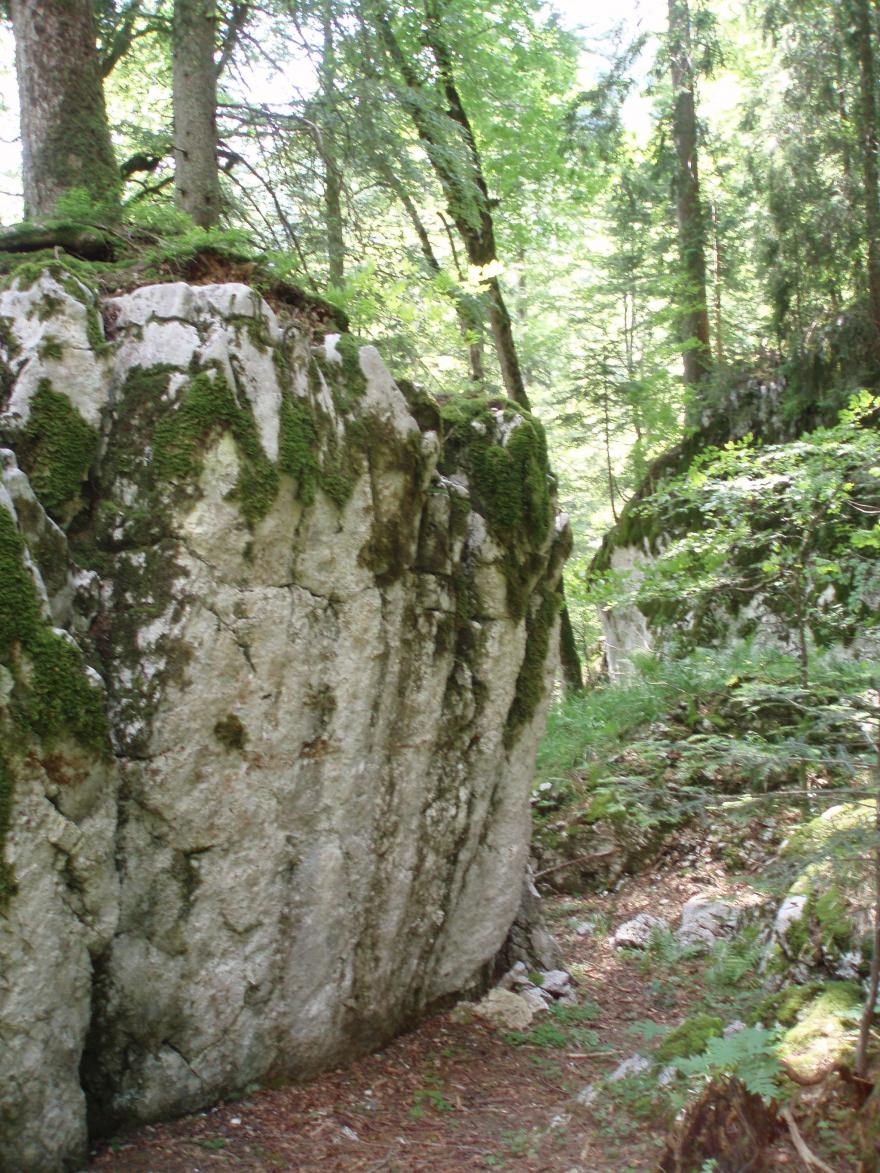 Rocher sur le site probable du premier monastère de Chartreuse – Domaine public - Nature Isère